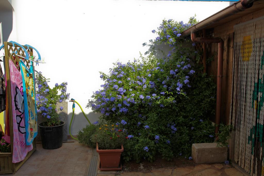 Bonjour Bed & Breakfast Morciano di Leuca Ruang foto