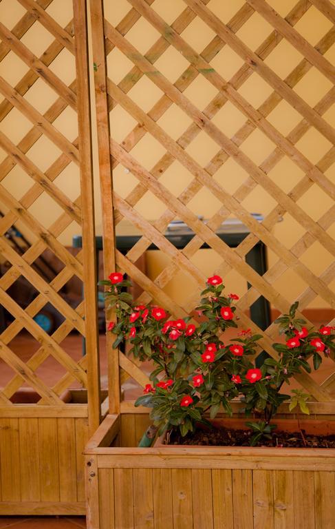 Bonjour Bed & Breakfast Morciano di Leuca Bagian luar foto